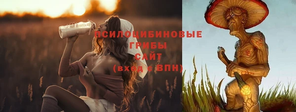 spice Алексин