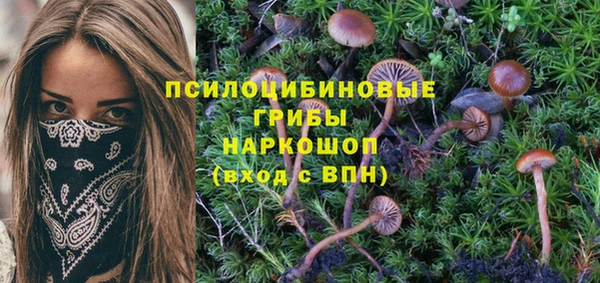 spice Алексин