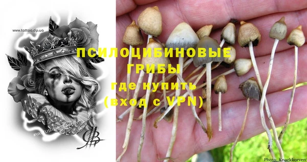 spice Алексин