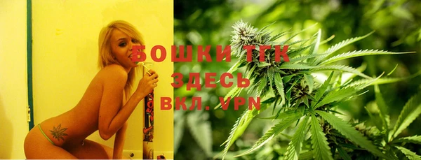 spice Алексин