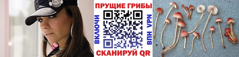 МЕГА tor  Жирновск  Псилоцибиновые грибы Magic Shrooms 